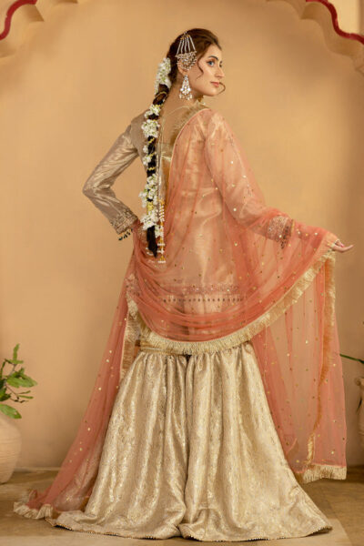 Esraj - Image 4