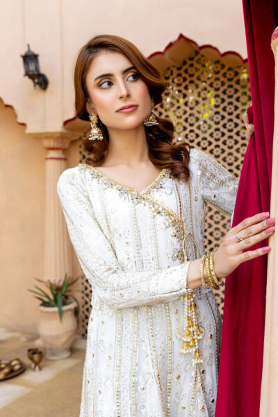 Sarangi - Image 5