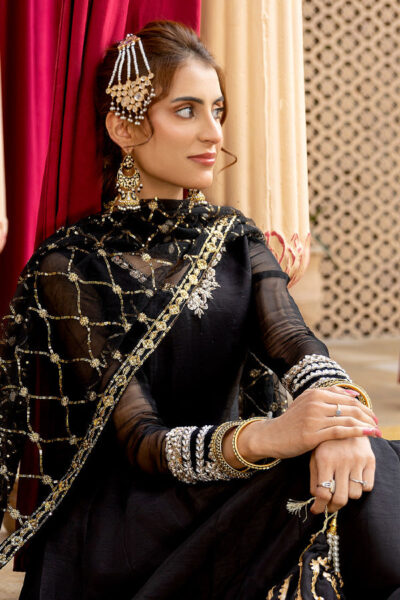Shehnai - Image 5