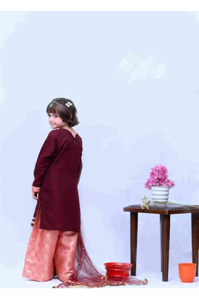 Mom4Little -Bahaar Suit - Image 3
