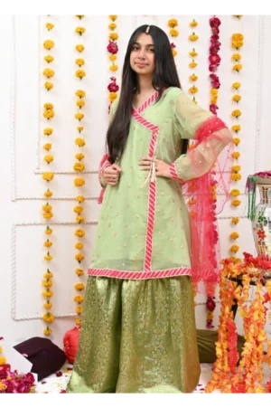 Mom4Little Pret Chiffon Mint Green Anghrakha Frock