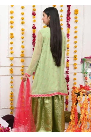 Mom4Little Pret Chiffon Mint Green Anghrakha Frock