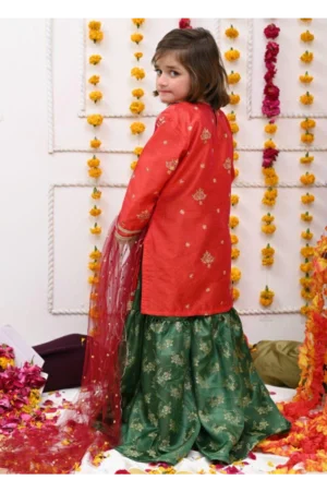 Mom4Little-Tomato Red and Green Gharara Set - Rtd