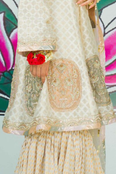 Kashish - Image 5