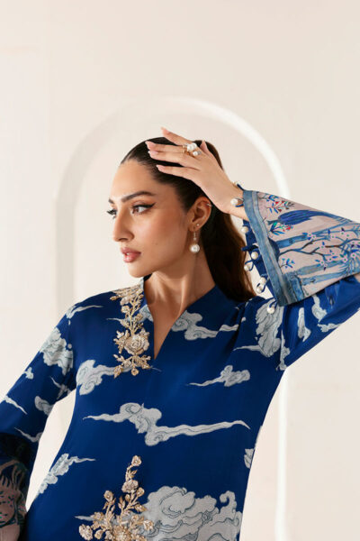 Blue Willow - Image 5