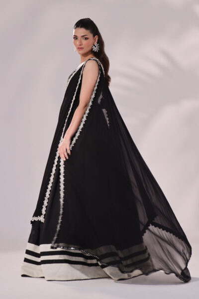 Abby - Image 4