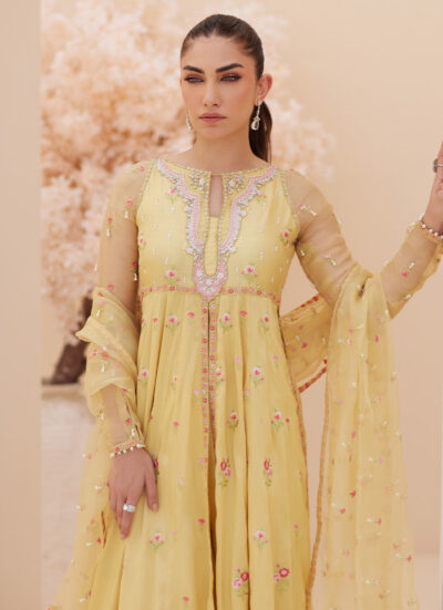 Buttercup Silk Kalidaar and Dupatta - Image 11