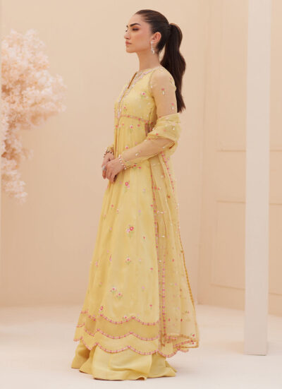 Buttercup Silk Kalidaar and Dupatta - Image 10