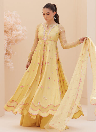 Buttercup Silk Kalidaar and Dupatta - Image 9