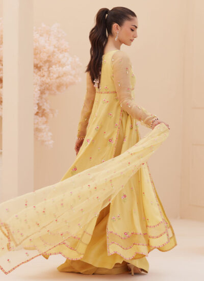 Buttercup Silk Kalidaar and Dupatta - Image 8