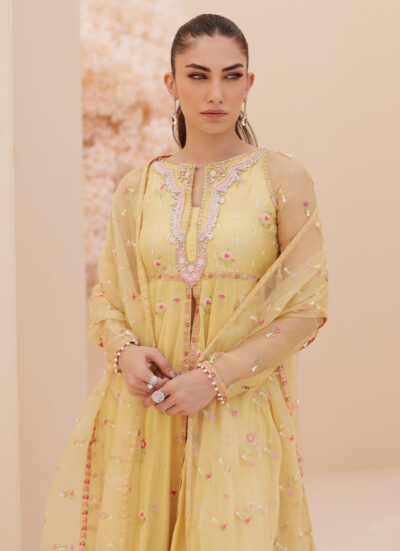 Buttercup Silk Kalidaar and Dupatta - Image 7