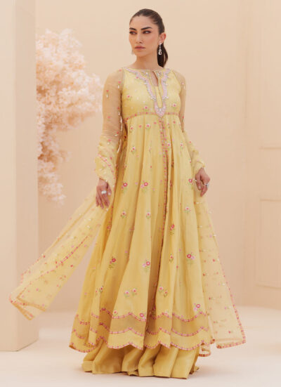 Buttercup Silk Kalidaar and Dupatta - Image 6