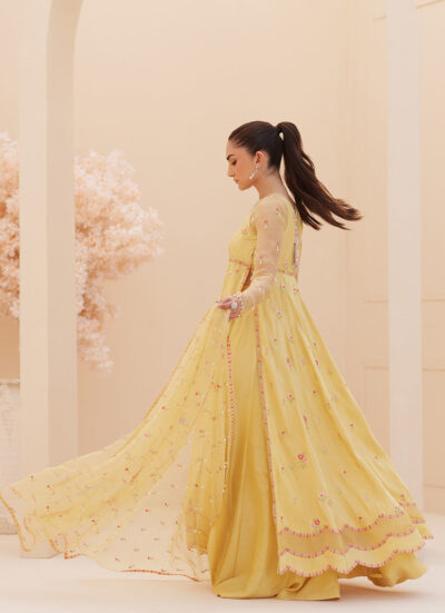Buttercup Silk Kalidaar and Dupatta - Image 5