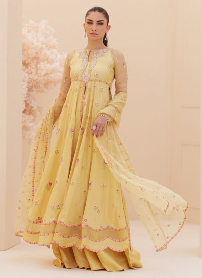 Buttercup Silk Kalidaar and Dupatta - Image 3