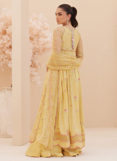Buttercup Silk Kalidaar and Dupatta - Image 2