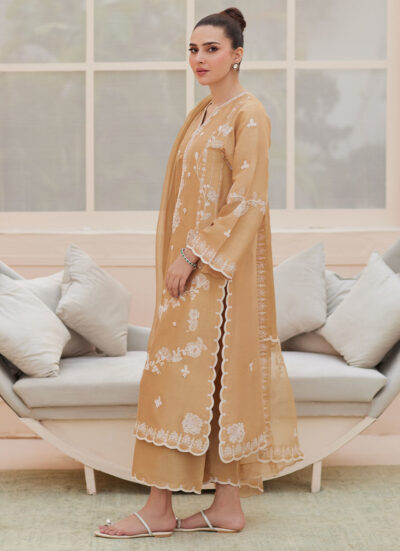 Bea Taupe Silk Shirt and Dupatta - Image 5