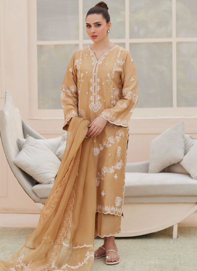 Bea Taupe Silk Shirt and Dupatta - Image 4