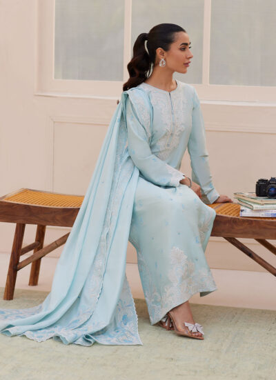 Carla Powder Blue Shirt and Dupatta - Image 8