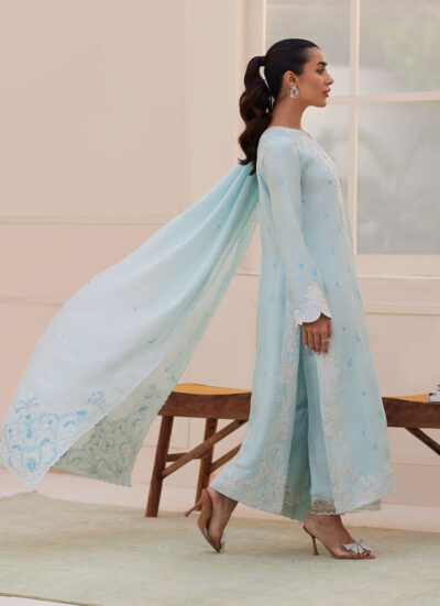 Carla Powder Blue Shirt and Dupatta - Image 7
