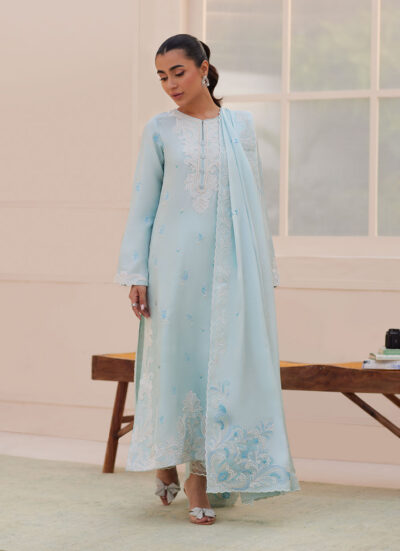 Carla Powder Blue Shirt and Dupatta - Image 6