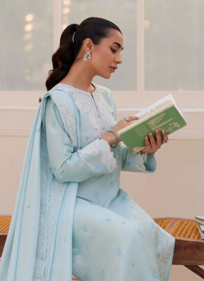 Carla Powder Blue Shirt and Dupatta - Image 5