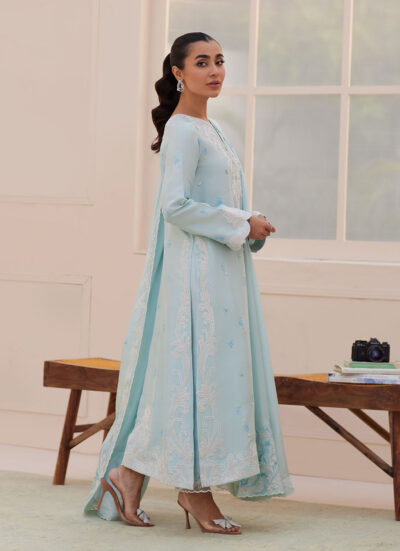 Carla Powder Blue Shirt and Dupatta - Image 3