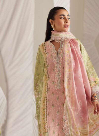 Rosalina Shirt and Dupatta - Image 3