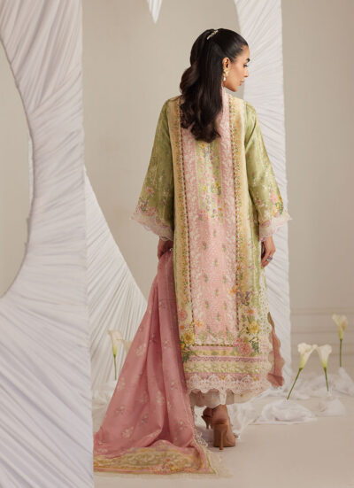 Rosalina Shirt and Dupatta - Image 7