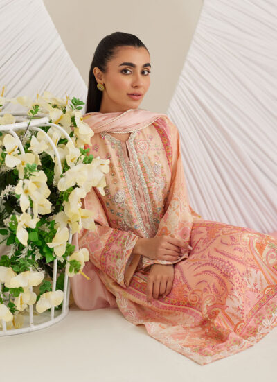Nerissa Shirt and Dupatta - Image 3