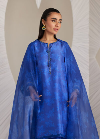 Electra Cobalt Shirt and Dupatta - Image 2