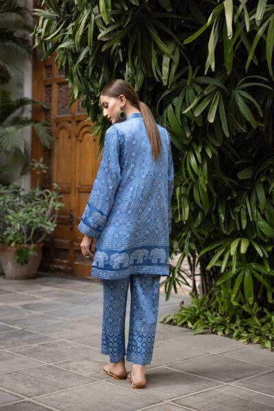 Sindhu - Image 3