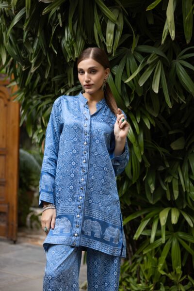 Sindhu - Image 4
