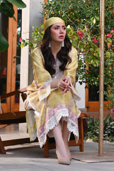 Paloma - Image 5