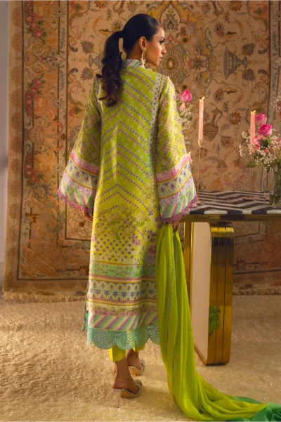 Linara - Shirt, Pants and Dupatta - Image 6