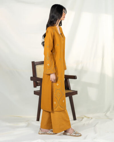 Mosambi - Image 4