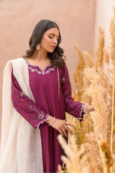 Zarmeen - Image 6