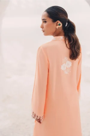 Sorbet