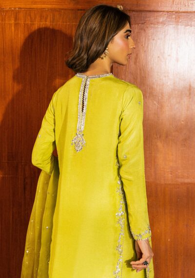 Nur Lime - Image 3