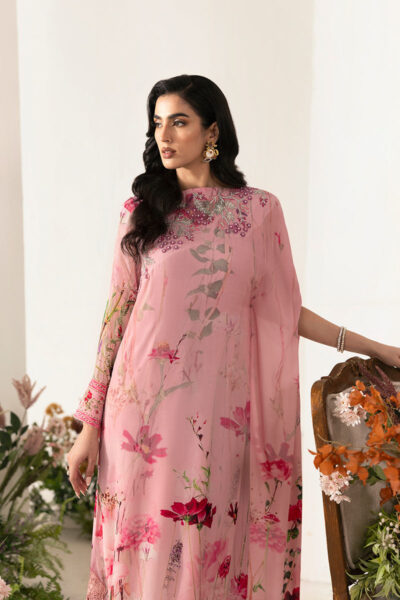 Noura - Image 2