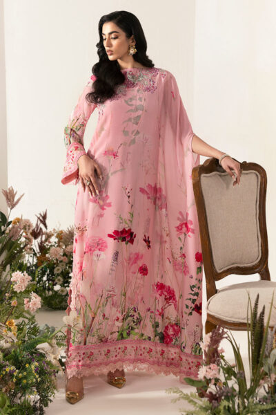 Noura - Image 5