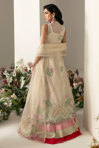 Noira - Image 3