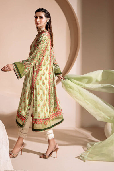 Apple Mint - Image 6