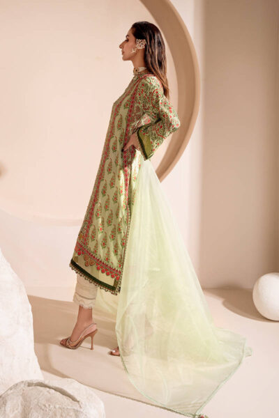 Apple Mint - Image 4