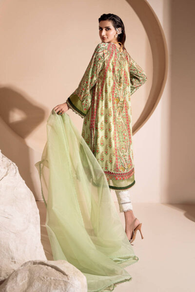 Apple Mint - Image 10