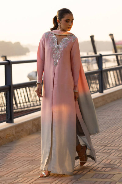 Frosty Ombre Set - Image 11