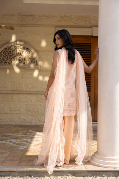 Peach Bloom With Shalwar - Image 9