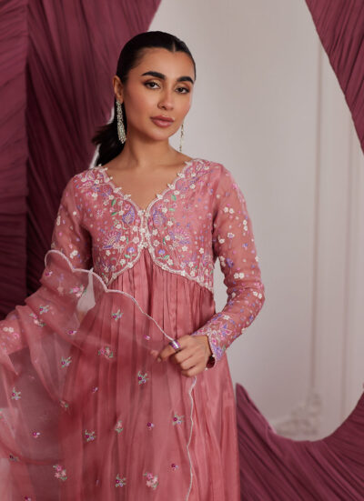 Wylie Watermelon Kalidaar And Dupatta - Image 2