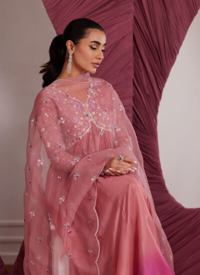 Wylie Watermelon Kalidaar And Dupatta - Image 13