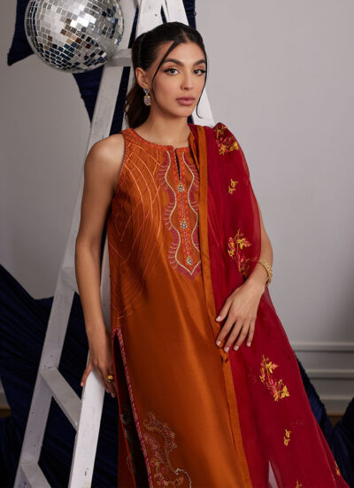 Zadie Burnt Orange Shirt And Dupatta - Image 5