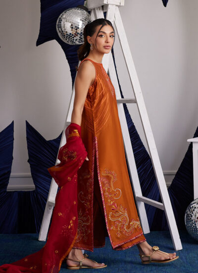 Zadie Burnt Orange Shirt And Dupatta - Image 4
